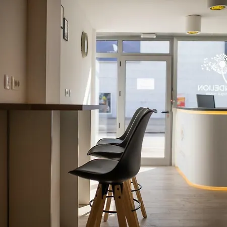 Albergue Dandelion