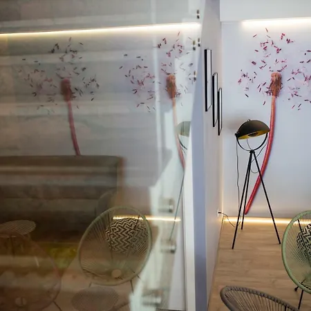 Dandelion Hostel